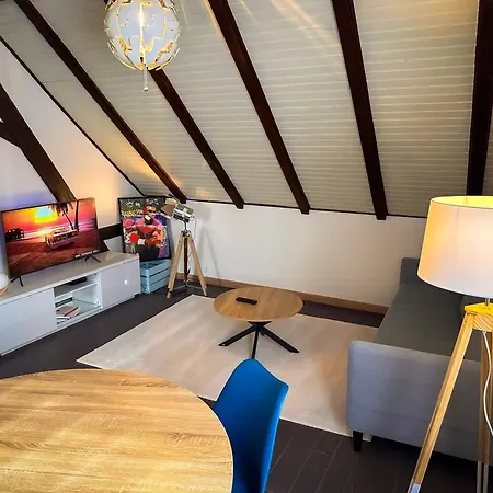 Spacieux 3 Cosy * Ottmarsheim